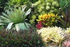 Sapphire NSWplanting-garden-and-landscape-design-24.jpg; ?>